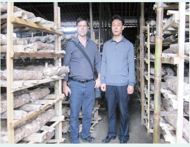 香菇 the planting base of Shitake mushroom