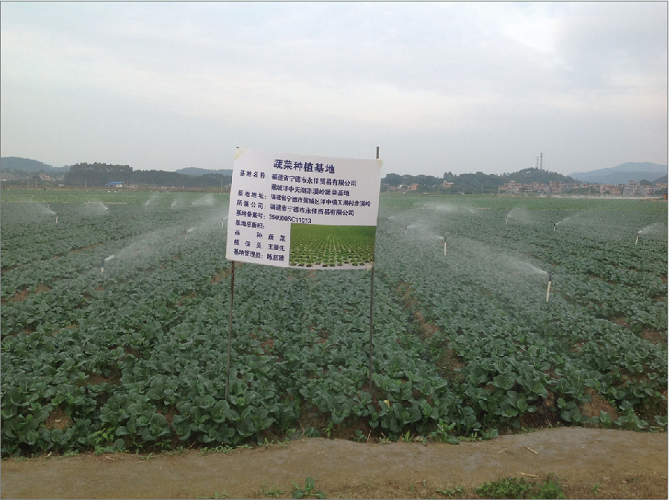 蔬菜 the planting base of vegetables