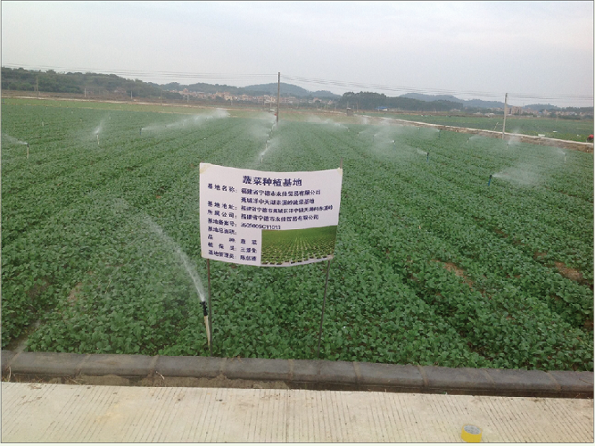 蔬菜 the planting base of vegetables