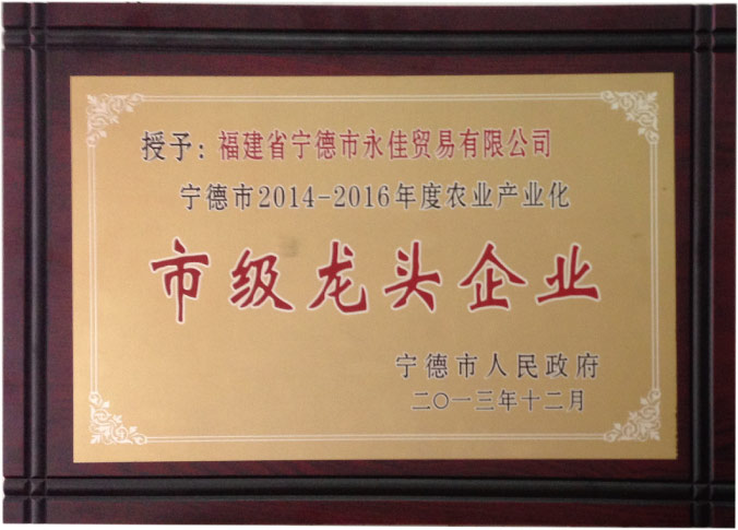宁德市农业产业化市级龙头企业
