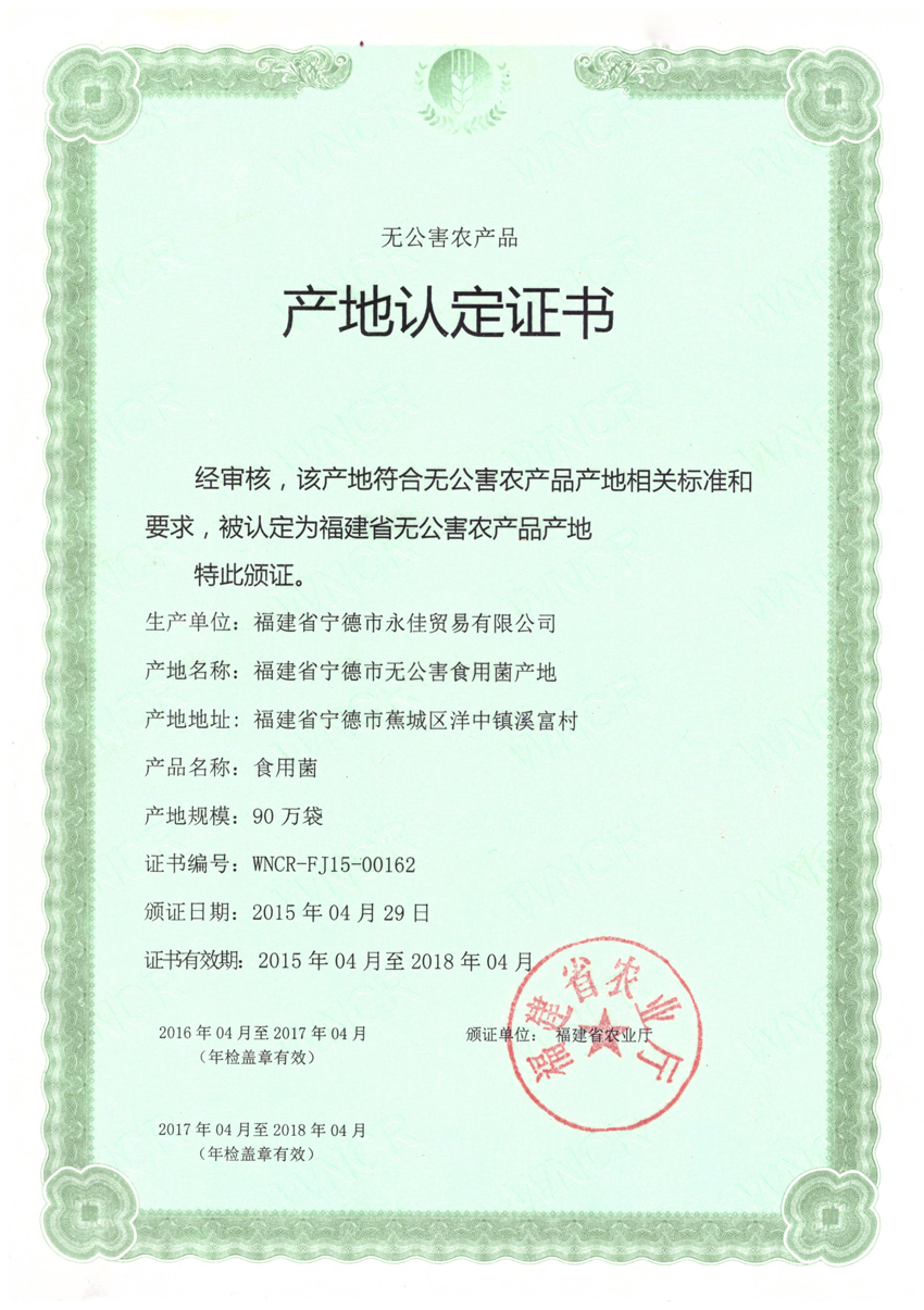 蕉城洋中溪富香菇基地