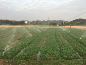 蔬菜 the planting base of vegetables