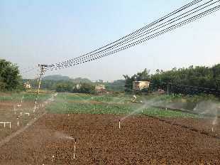 蔬菜 the planting base of vegetables