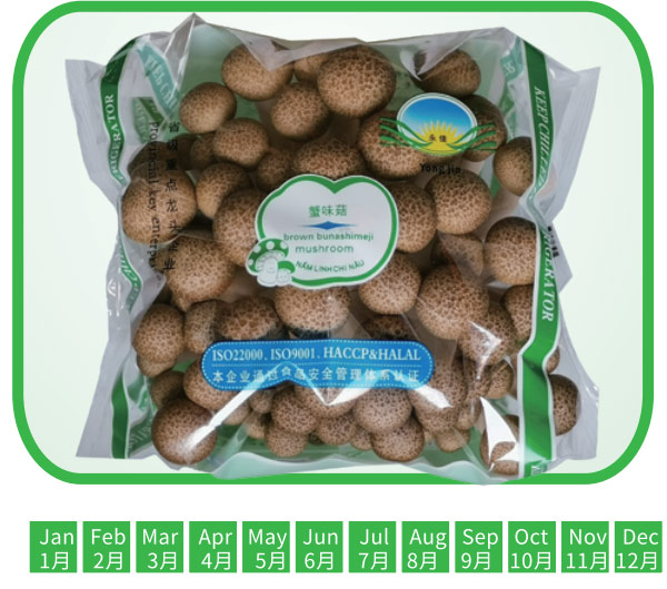 蟹味菇  Brown mushroom