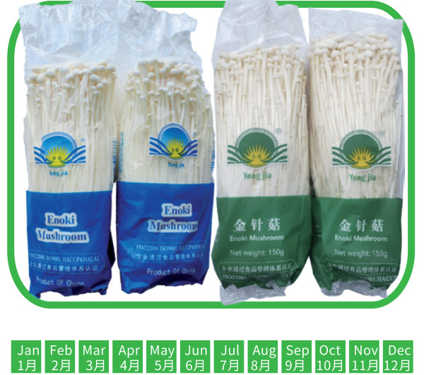 金菇 Enoki Mushroom