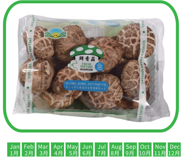 花菇  Flower mushroom