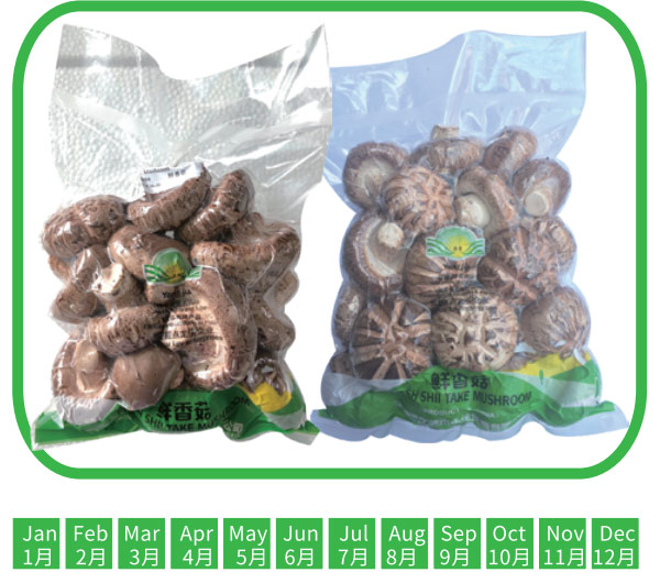 香菇 花菇  Shitake mushroom