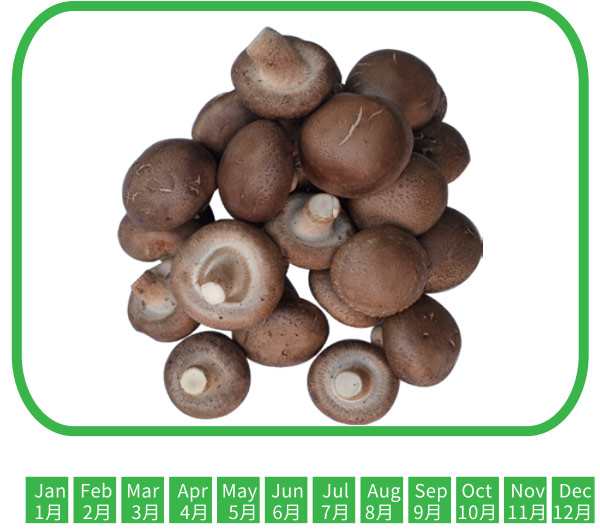 香菇 shitake mushroom