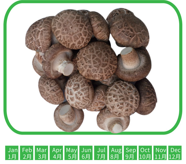 花菇 Flower mushroom