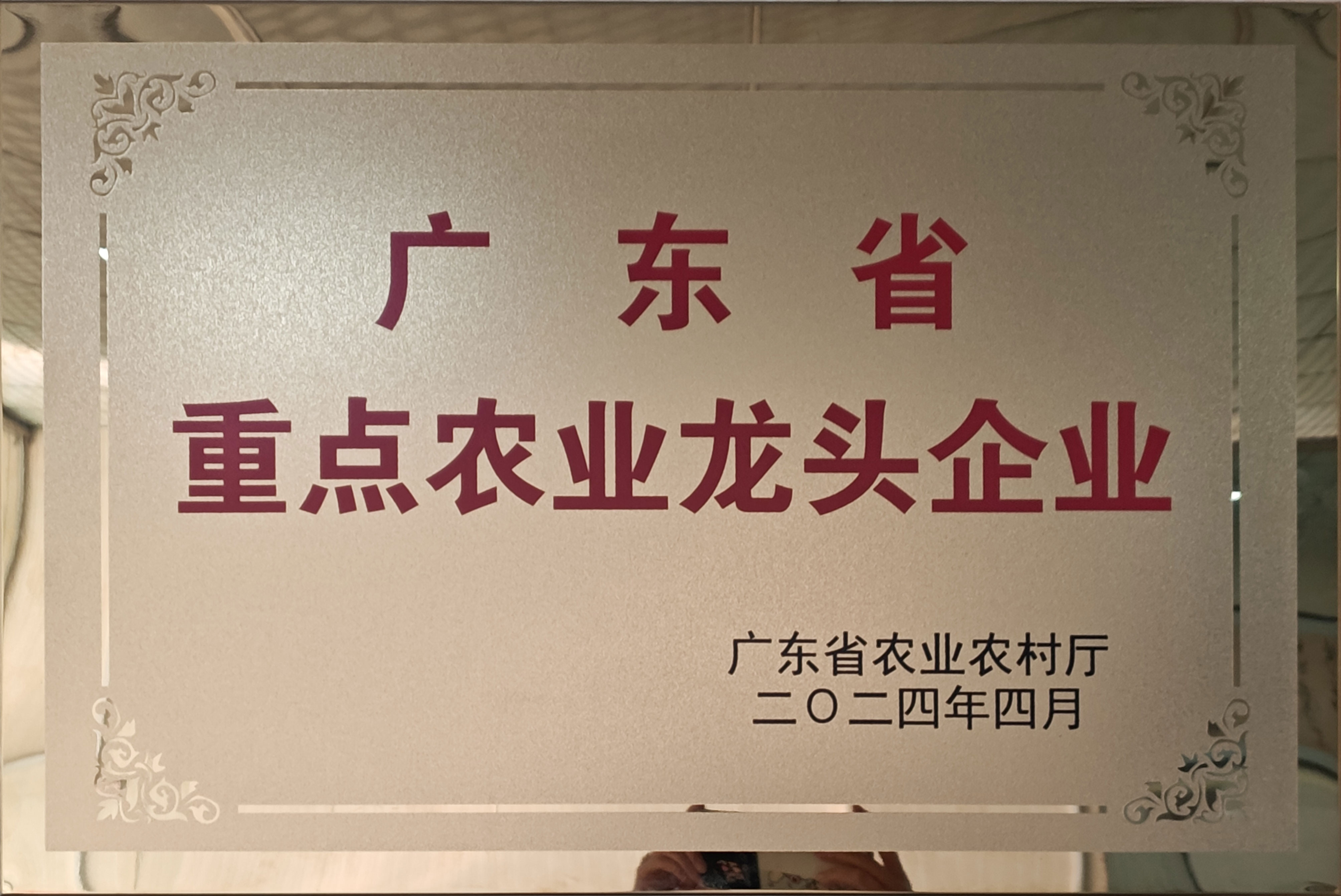 广东省重点农业龙头企业